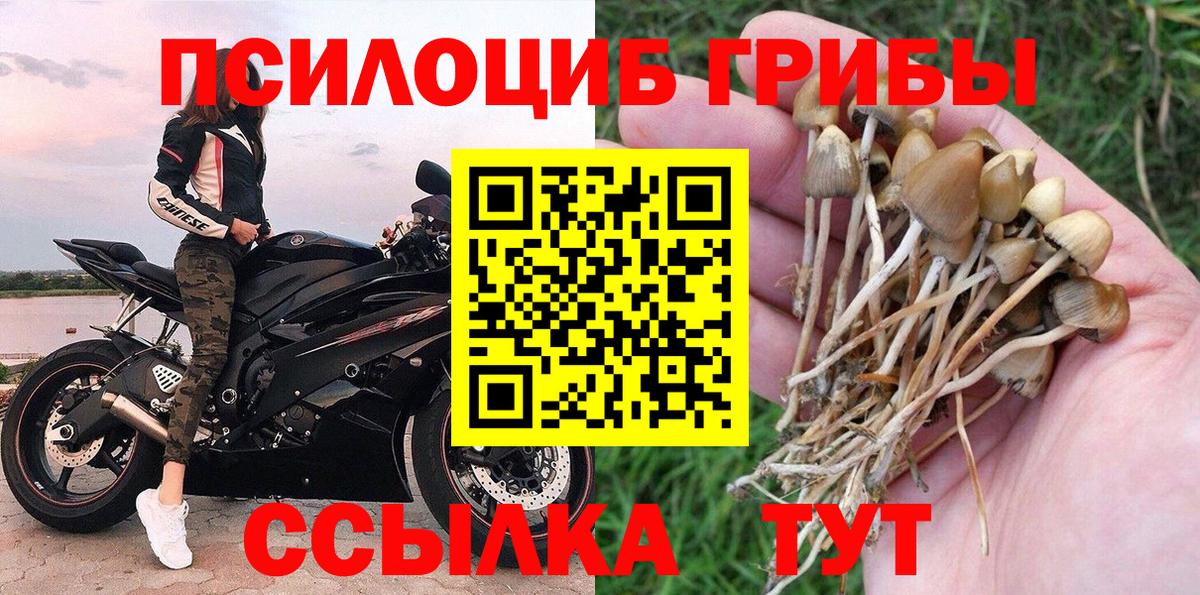 Снежинск  Галлюциногенные грибы ЛСД  Вход с VPN 